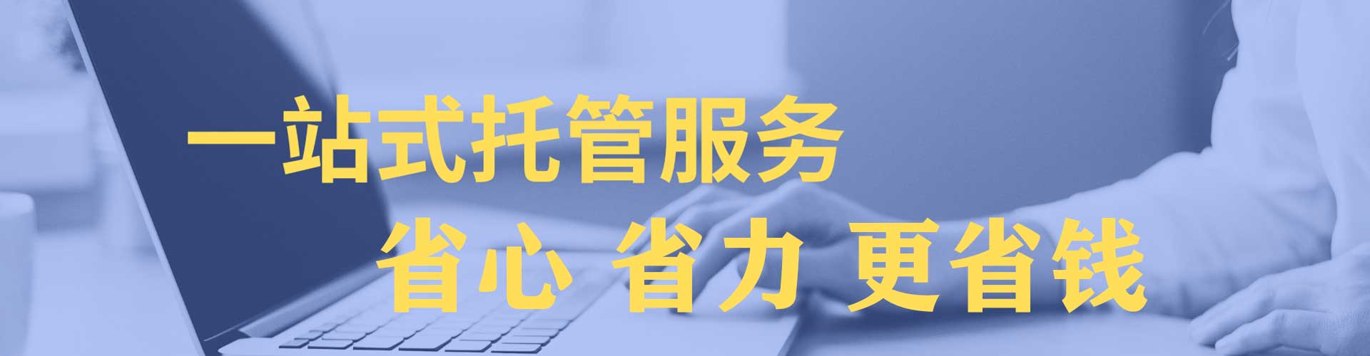 信丰网络推广竞价